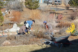 COLS workday Feb. 28, 2016: Me, Willow and James