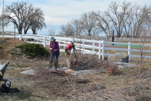 D and I working on the willow woman